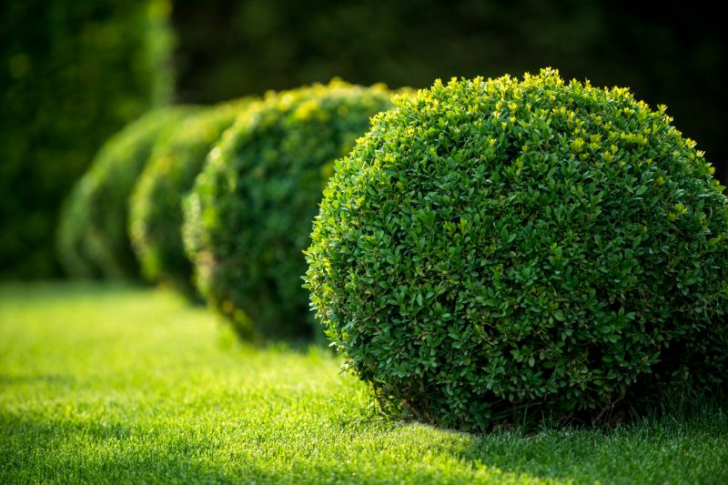 Bush Relocation in Honolulu, HI