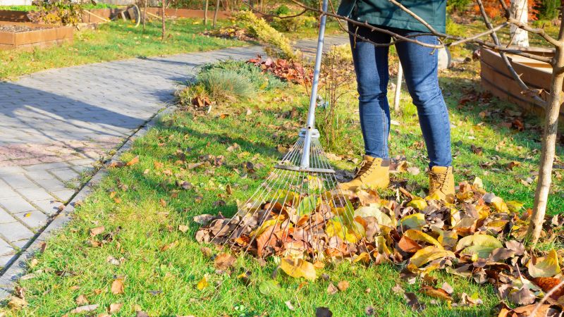 Raking Leaves