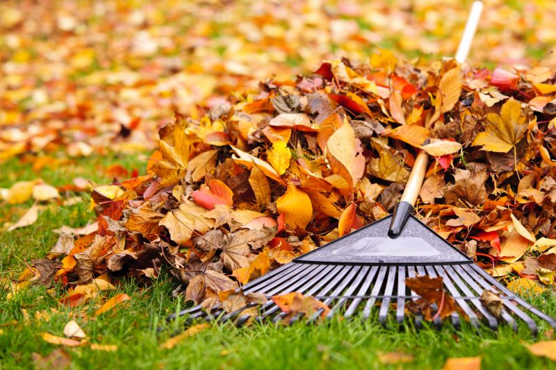 Lawn with Fallen Leaves